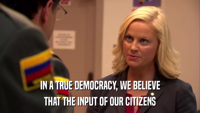IN A TRUE DEMOCRACY, WE BELIEVE THAT THE INPUT OF OUR CITIZENS 