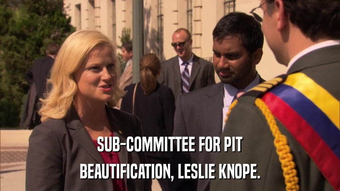 SUB-COMMITTEE FOR PIT BEAUTIFICATION, LESLIE KNOPE. 
