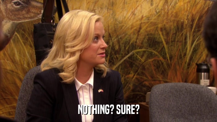 NOTHING? SURE?  