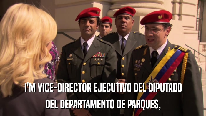 I'M VICE-DIRECTOR EJECUTIVO DEL DIPUTADO DEL DEPARTAMENTO DE PARQUES, 
