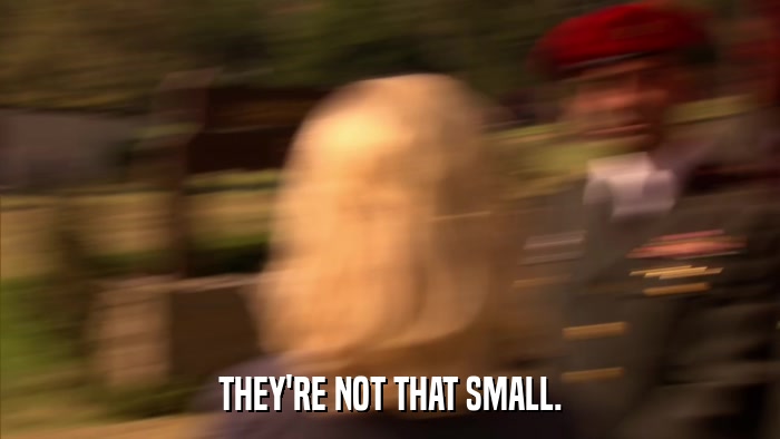 THEY'RE NOT THAT SMALL.  