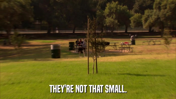THEY'RE NOT THAT SMALL.  