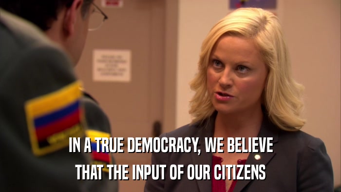 IN A TRUE DEMOCRACY, WE BELIEVE THAT THE INPUT OF OUR CITIZENS 