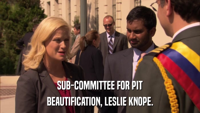 SUB-COMMITTEE FOR PIT BEAUTIFICATION, LESLIE KNOPE. 