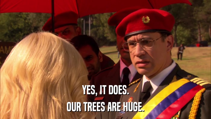 YES, IT DOES. OUR TREES ARE HUGE. 