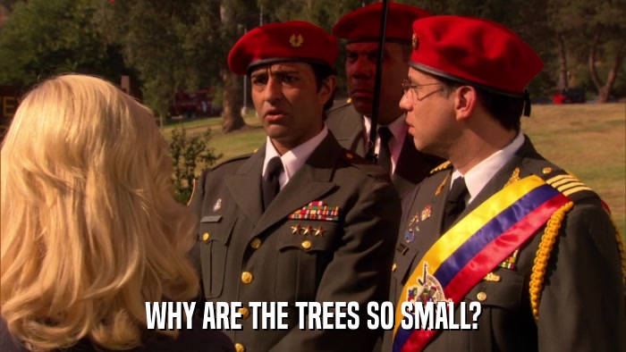 WHY ARE THE TREES SO SMALL?  