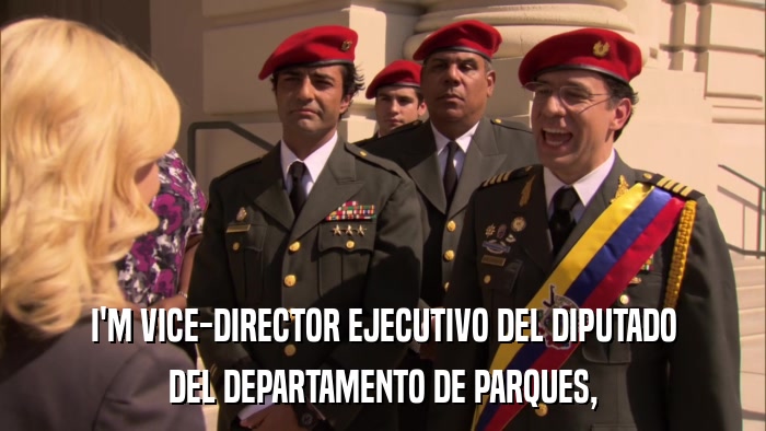 I'M VICE-DIRECTOR EJECUTIVO DEL DIPUTADO DEL DEPARTAMENTO DE PARQUES, 