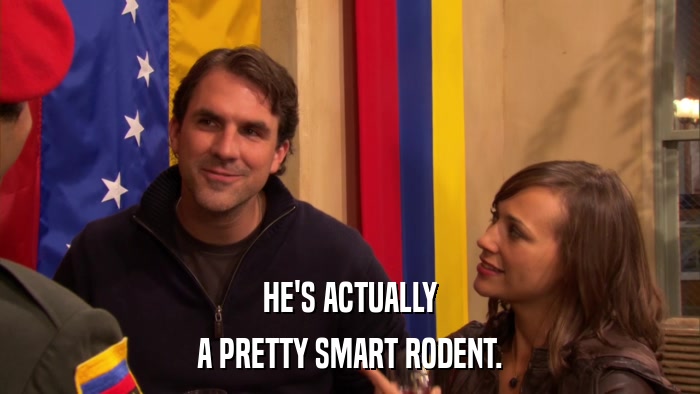 HE'S ACTUALLY A PRETTY SMART RODENT. 