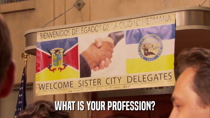 WHAT IS YOUR PROFESSION?  