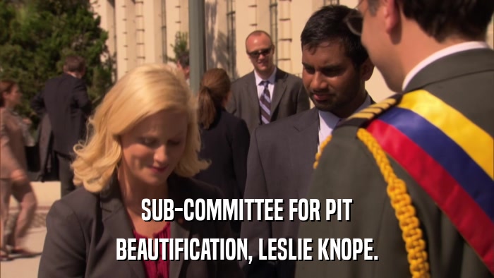 SUB-COMMITTEE FOR PIT BEAUTIFICATION, LESLIE KNOPE. 