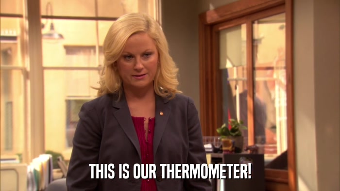 THIS IS OUR THERMOMETER!  