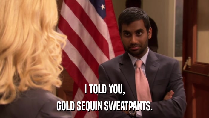 I TOLD YOU, GOLD SEQUIN SWEATPANTS. 