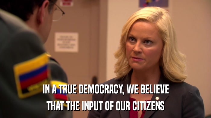 IN A TRUE DEMOCRACY, WE BELIEVE THAT THE INPUT OF OUR CITIZENS 