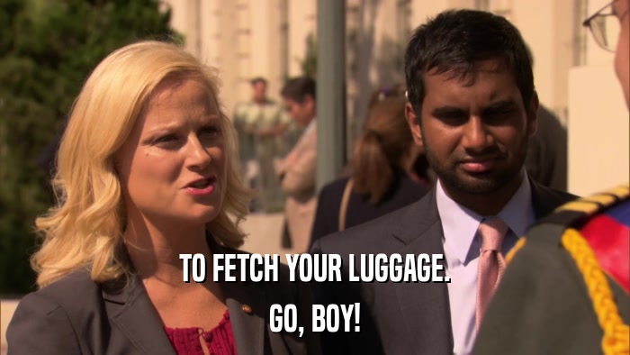 TO FETCH YOUR LUGGAGE. GO, BOY! 