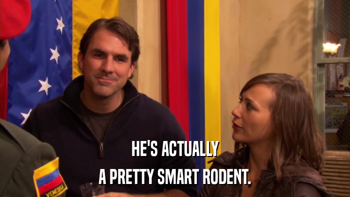 HE'S ACTUALLY A PRETTY SMART RODENT. 