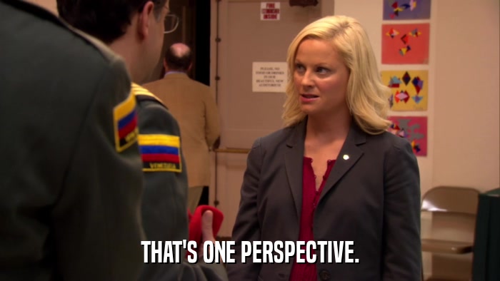 THAT'S ONE PERSPECTIVE.  