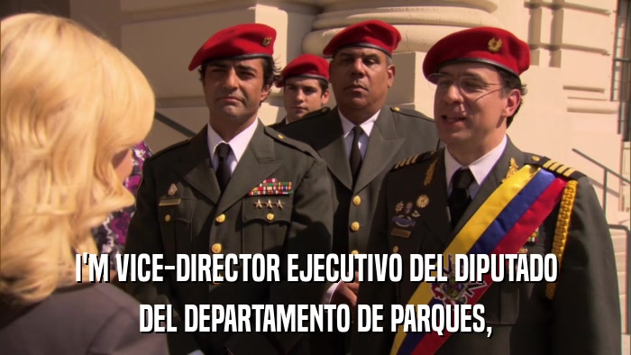 I'M VICE-DIRECTOR EJECUTIVO DEL DIPUTADO DEL DEPARTAMENTO DE PARQUES, 