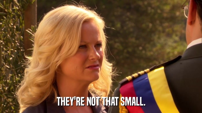THEY'RE NOT THAT SMALL.  