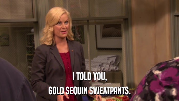 I TOLD YOU, GOLD SEQUIN SWEATPANTS. 