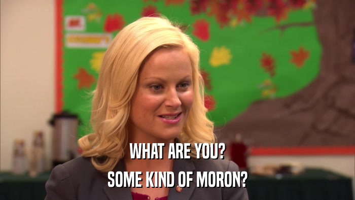 WHAT ARE YOU? SOME KIND OF MORON? 