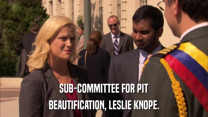 SUB-COMMITTEE FOR PIT BEAUTIFICATION, LESLIE KNOPE. 