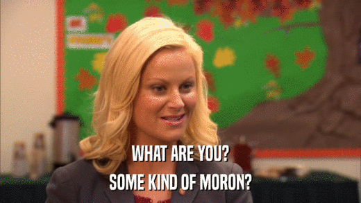 WHAT ARE YOU? SOME KIND OF MORON? 