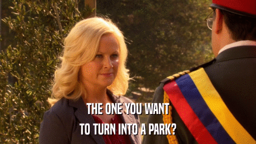 THE ONE YOU WANT TO TURN INTO A PARK? 