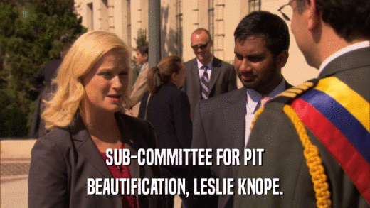SUB-COMMITTEE FOR PIT BEAUTIFICATION, LESLIE KNOPE. 