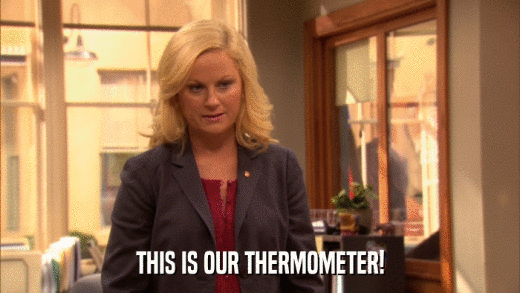 THIS IS OUR THERMOMETER!  