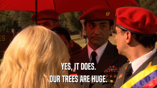 YES, IT DOES. OUR TREES ARE HUGE. 
