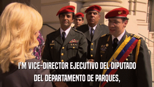 I'M VICE-DIRECTOR EJECUTIVO DEL DIPUTADO DEL DEPARTAMENTO DE PARQUES, 