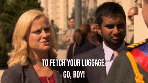 TO FETCH YOUR LUGGAGE. GO, BOY! 