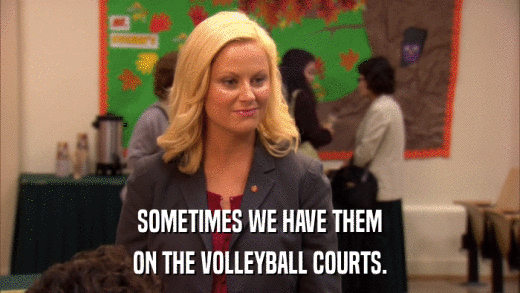 SOMETIMES WE HAVE THEM ON THE VOLLEYBALL COURTS. 