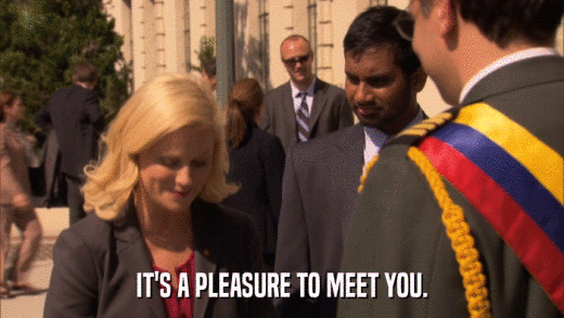 IT'S A PLEASURE TO MEET YOU.  