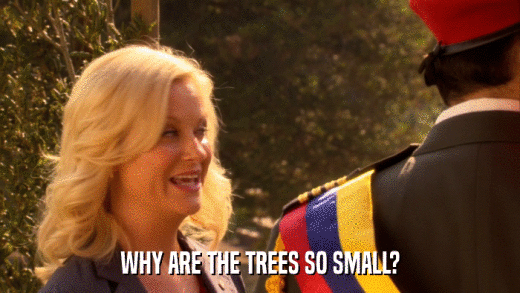 WHY ARE THE TREES SO SMALL?  
