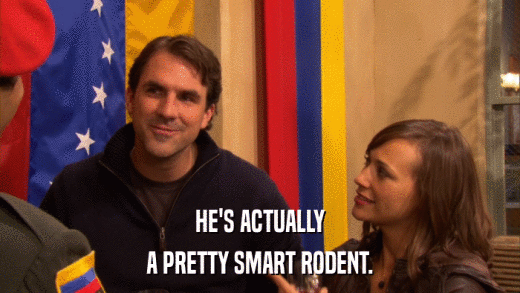HE'S ACTUALLY A PRETTY SMART RODENT. 