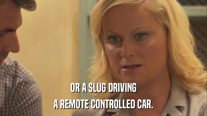 OR A SLUG DRIVING A REMOTE CONTROLLED CAR. 