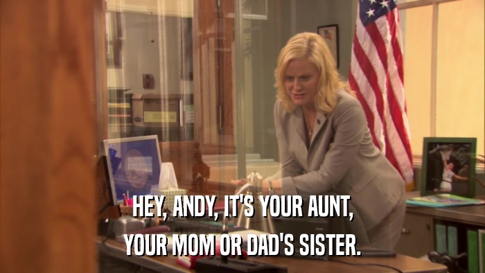 HEY, ANDY, IT'S YOUR AUNT, YOUR MOM OR DAD'S SISTER. 