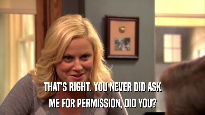 THAT'S RIGHT. YOU NEVER DID ASK ME FOR PERMISSION, DID YOU? 