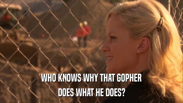 WHO KNOWS WHY THAT GOPHER DOES WHAT HE DOES? 