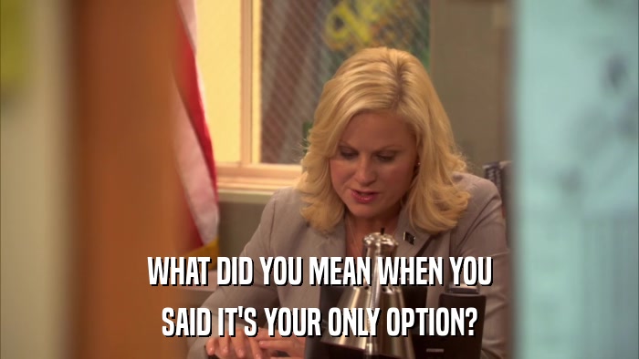 WHAT DID YOU MEAN WHEN YOU SAID IT'S YOUR ONLY OPTION? 