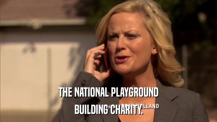 THE NATIONAL PLAYGROUND BUILDING CHARITY. 
