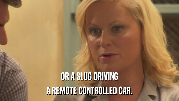 OR A SLUG DRIVING A REMOTE CONTROLLED CAR. 