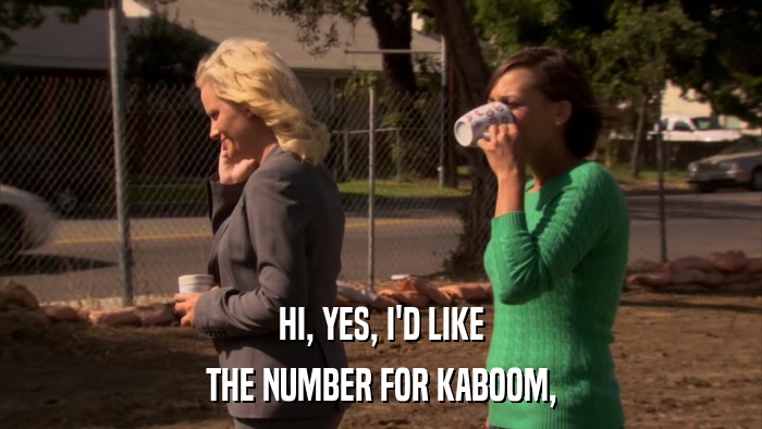 HI, YES, I'D LIKE THE NUMBER FOR KABOOM, 