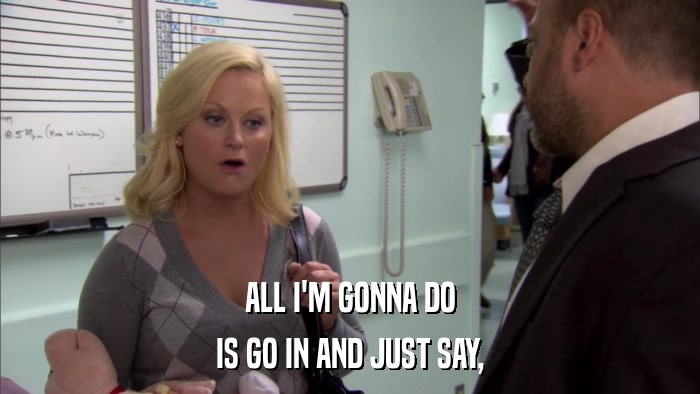 ALL I'M GONNA DO IS GO IN AND JUST SAY, 
