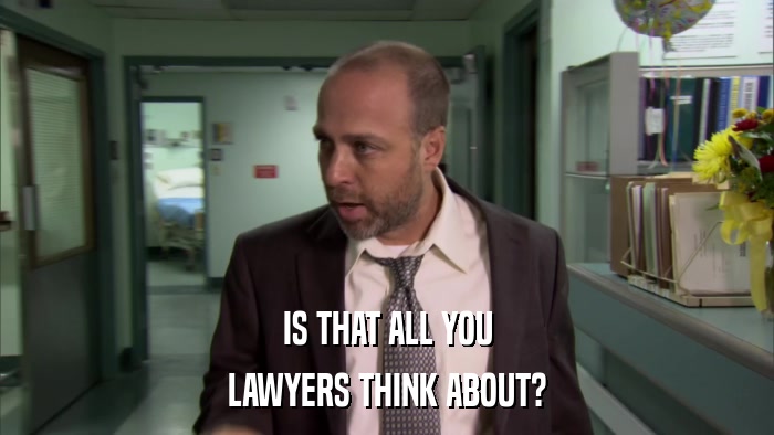 IS THAT ALL YOU LAWYERS THINK ABOUT? 