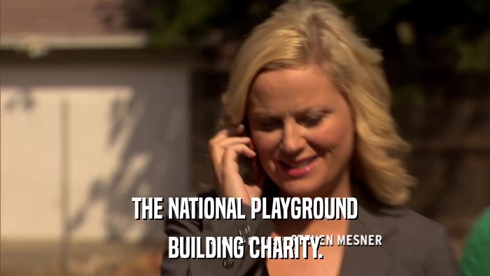 THE NATIONAL PLAYGROUND BUILDING CHARITY. 