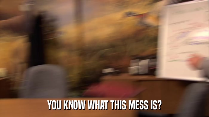 YOU KNOW WHAT THIS MESS IS?  
