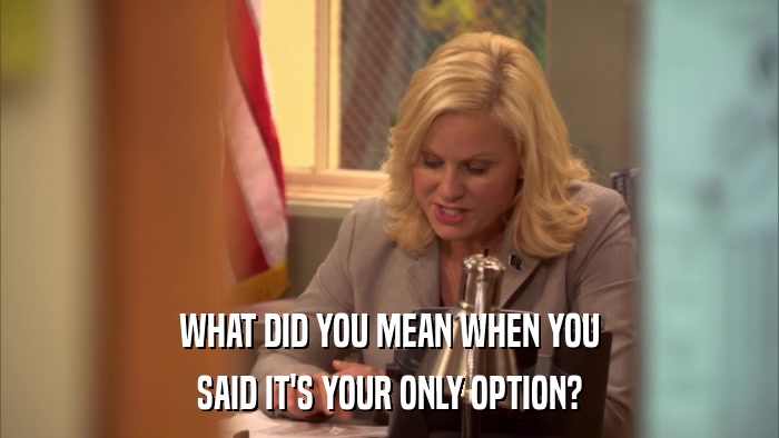 WHAT DID YOU MEAN WHEN YOU SAID IT'S YOUR ONLY OPTION? 