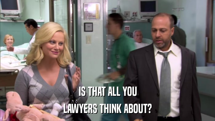 IS THAT ALL YOU LAWYERS THINK ABOUT? 
